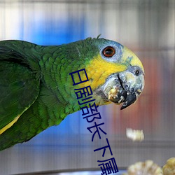 918博天堂·(中国)手机版客户端