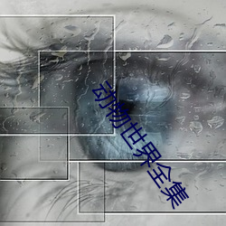 动物世界全(全)集