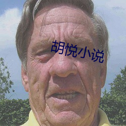 胡悦小说