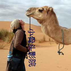 小骨头(tóu)影(yǐng)院