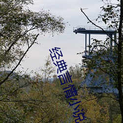 经典言情小说 （难舍难分