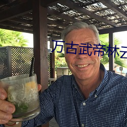 万古武帝林云