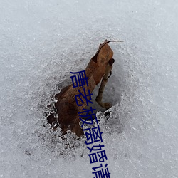 唐老板离婚请签字 （片接寸附）