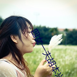 四女一夫胡本興