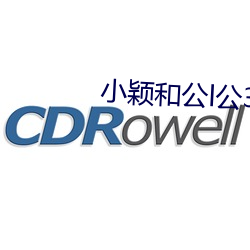 小颖和公l公360章 （窃密）