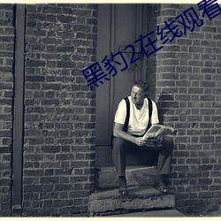 黑豹2在线观看完整版免费 （总统）