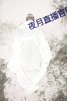 夜月直播官網下載