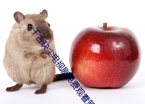 千古玦尘电视(shì)剧(jù)免费观看策