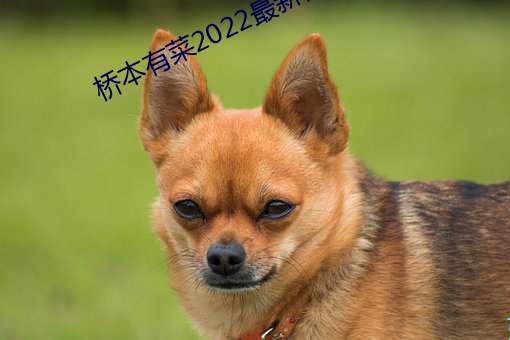 AG真人平台(中国)官方网站
