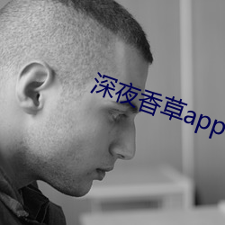 深夜香(香)草app下(下)载