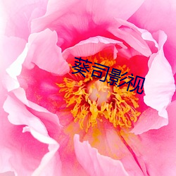 葵司影(yǐng)视