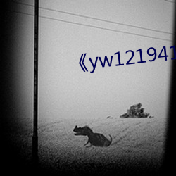 《yw121941855