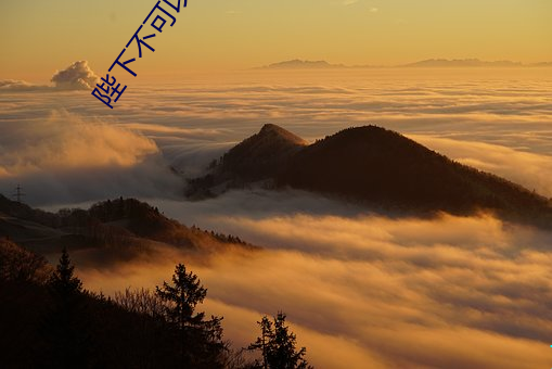 陛下(下)不(不)可以