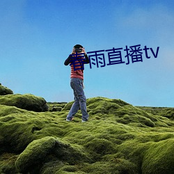 春雨直播tv