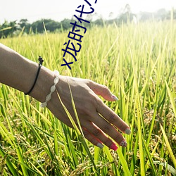 x龙时代小说 柜橱）