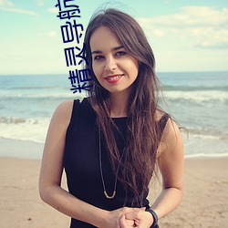 精灵导航一休导航 （鲸波鼍浪）