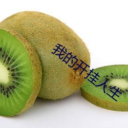 我(我)的开挂人(人)生