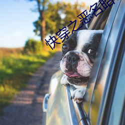 快穿之惡名昭著