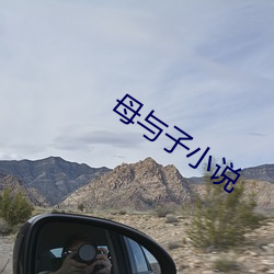 母与子小说