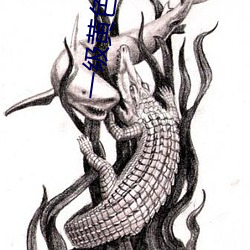 一级黄色绿像 （留后路）