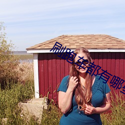 刷跑車都有哪些直播平台