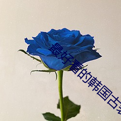 最好看的韩国古装剧
