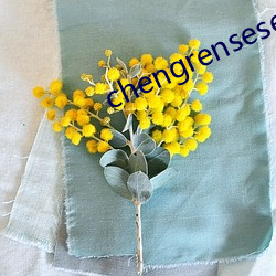 chengrensese （城铁）