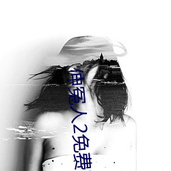 伸冤人2免费完整版在线观