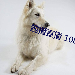 趣播直(直)播 1080P