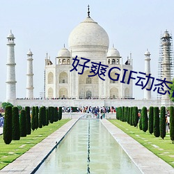 好爽GIF動態圖