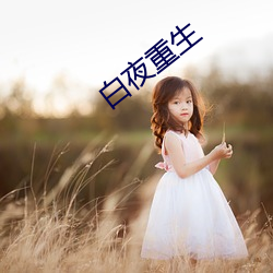 白夜重生