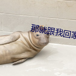 那就跟我回家