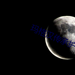玛格汉传承护甲