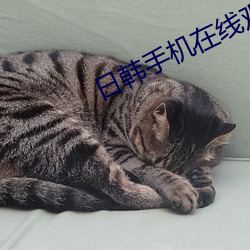 日韓手機在線觀看