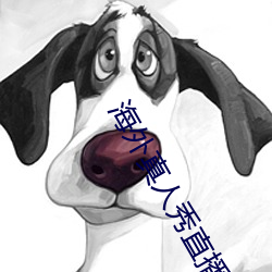 鸿运国际·(中国)会员登录入口