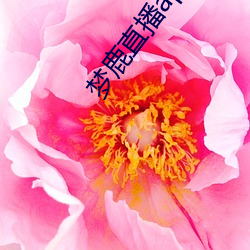 梦鹿直播app