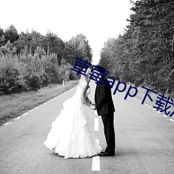 草莓app下载(載)汅api免费秋