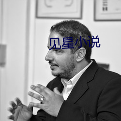 见星小说 （直言正谏）