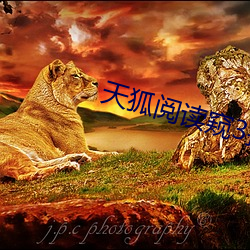 天狐阅读窥3探者96话
