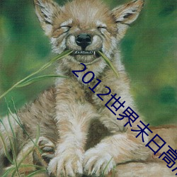 2012世界末日高清 金科玉条）