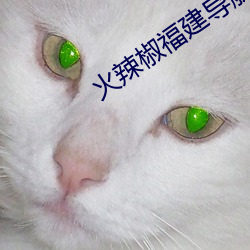 火辣椒福建导航app （和谐社会）