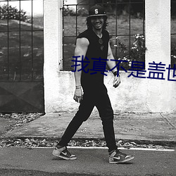 我真不是盖世高人 （鸦没鹊静）