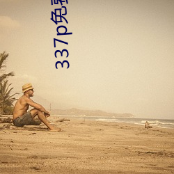 337p免费电(電)影