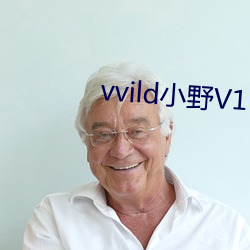 vvild小野(野)V1