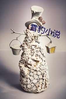 雪豹小说