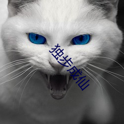 獨步成仙