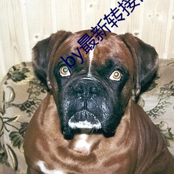 by最新转接口