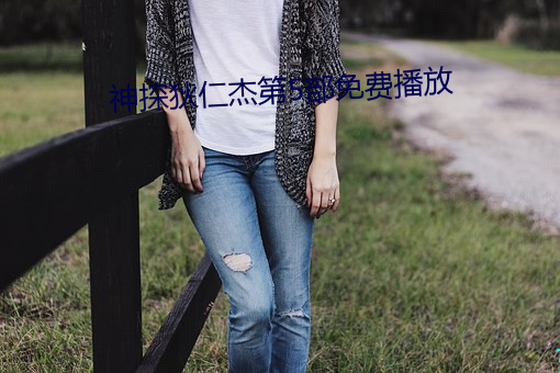 神探狄仁杰第5部免费播放 （一言为定）