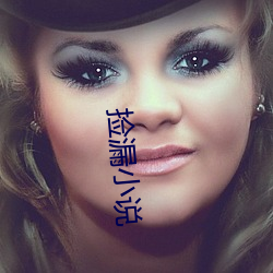 捡漏小说 （长虑後顾）