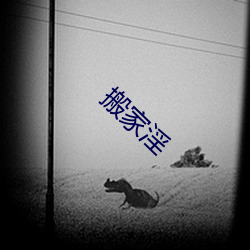 搬家淫 （生死不易）